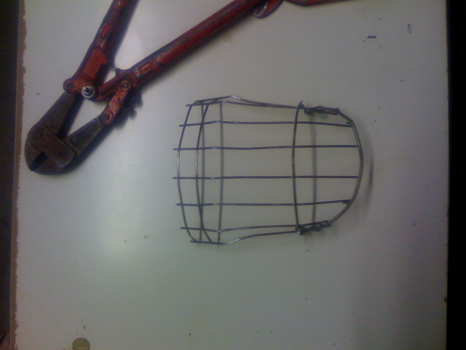 Mach`s Dir selbst! Heute: Der Faceguard